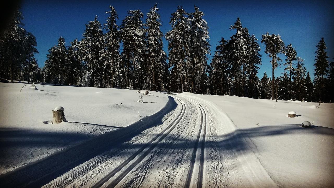 Penzion Eliska Petříkov Kültér fotó