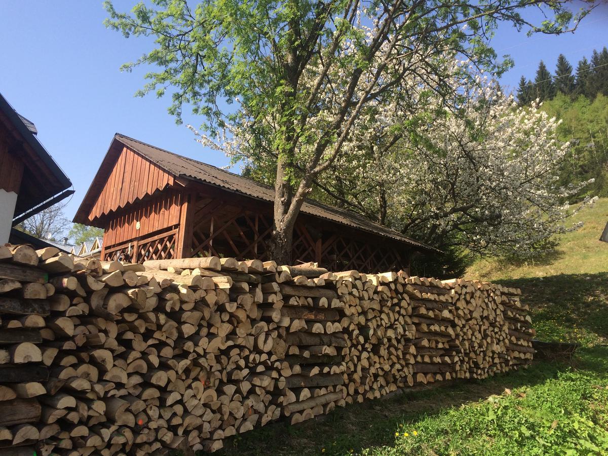 Penzion Eliska Petříkov Kültér fotó